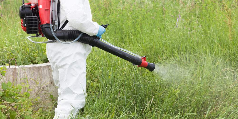 pest control expert sprays for mosquitoes
