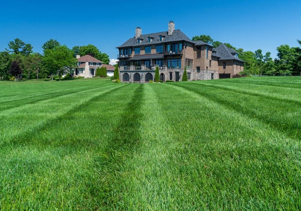 healthy green grass in front of home with mowing lines