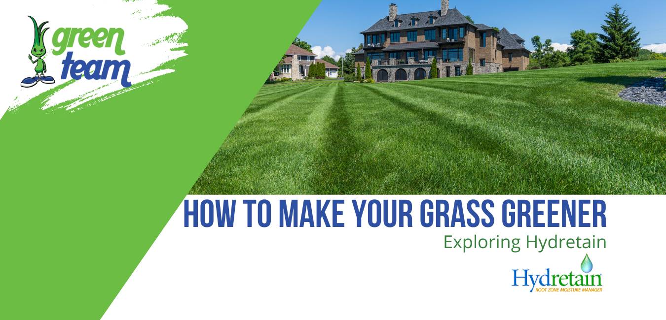 how to make your grass greener header