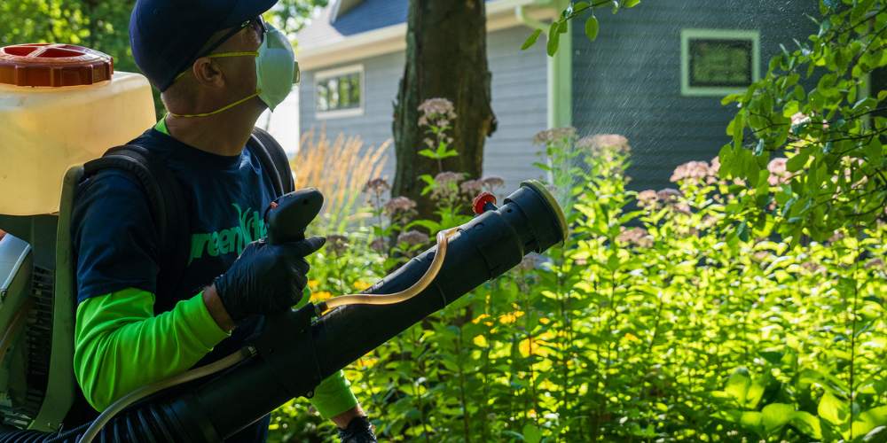 lawn care expert sprays for pests