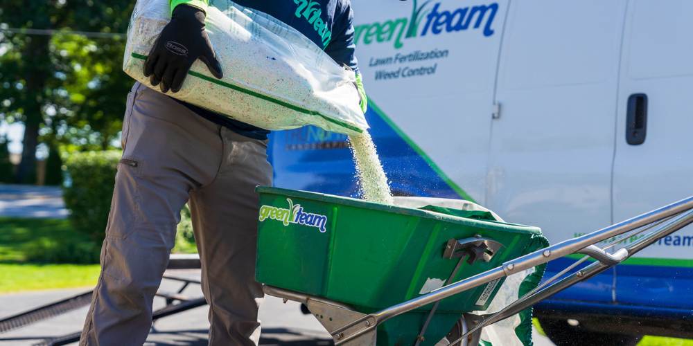 lawn care expert pours fertilizer into walk behind spreader