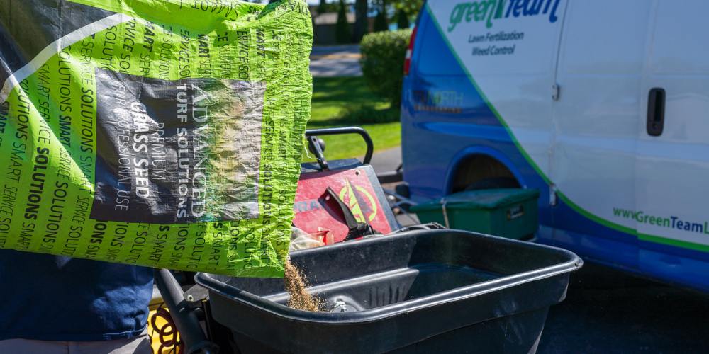 grass seed being poured into spreader