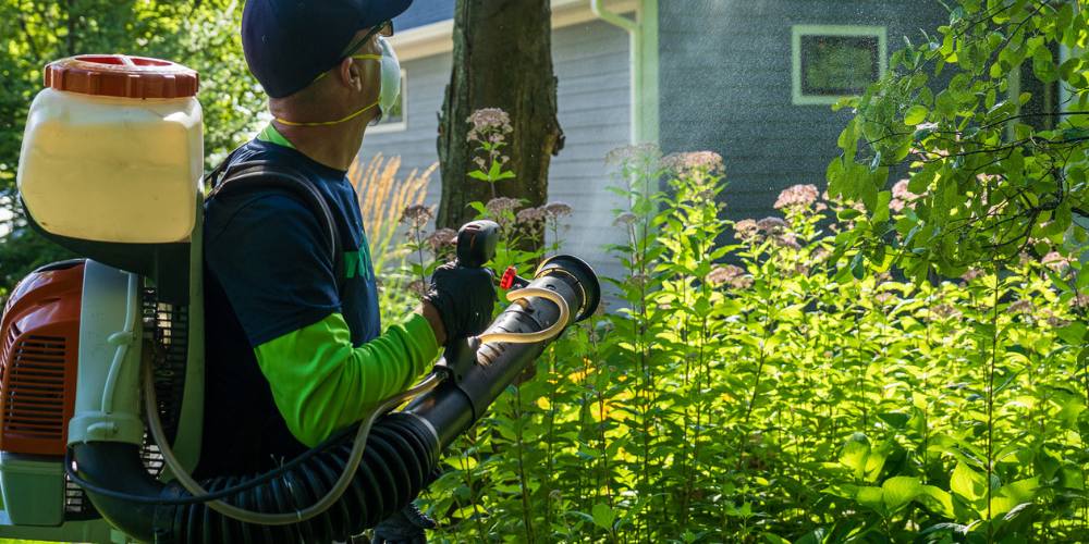 pest control expert sprays for ticks