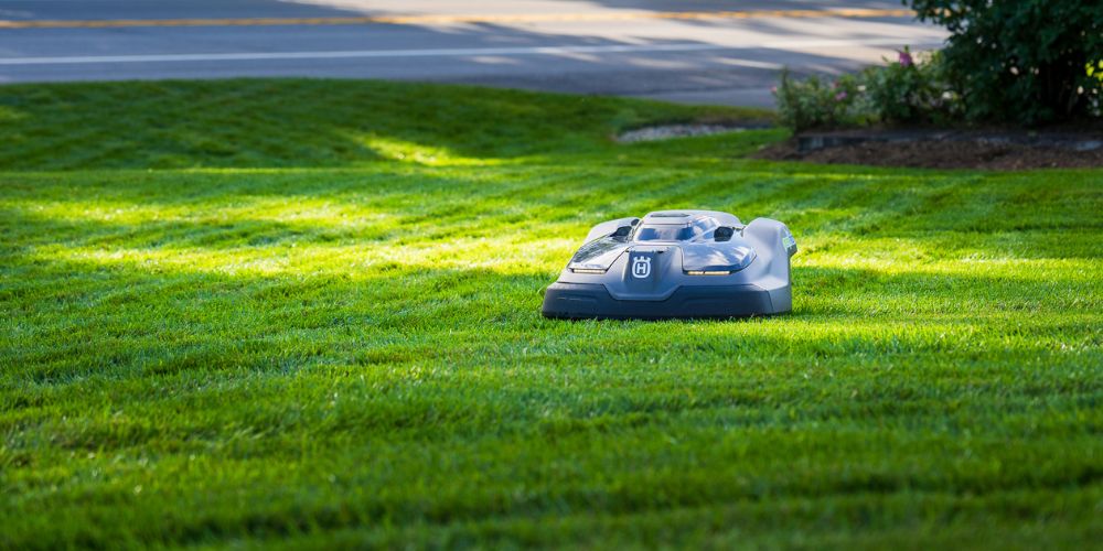 automower cuts grass