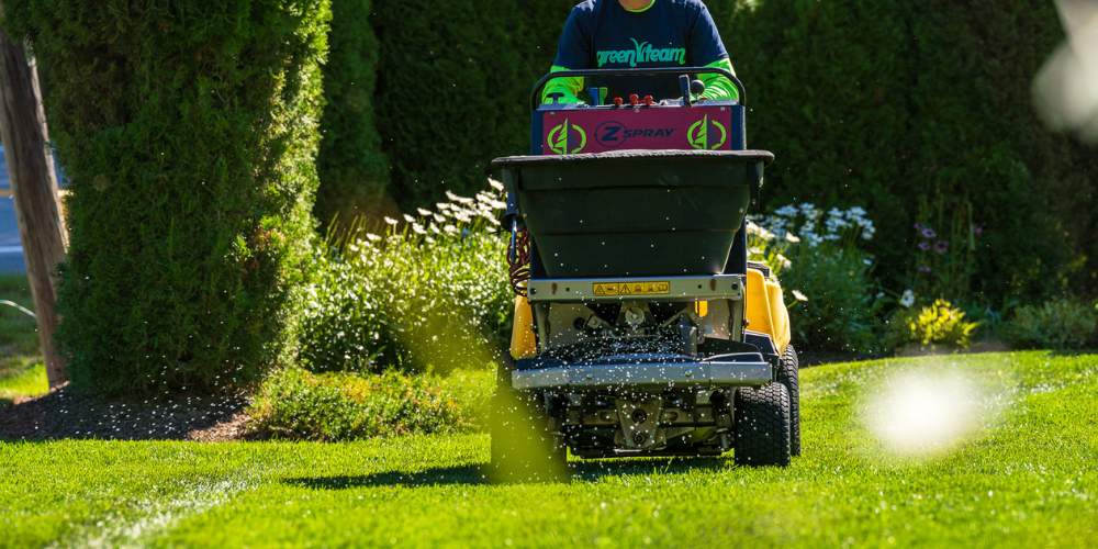 lawn care expert applies granular fertilizer on ride on machine