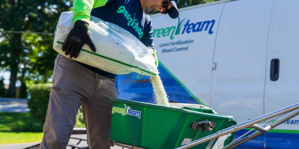 lawn care expert pours granular fertilizer into spreader
