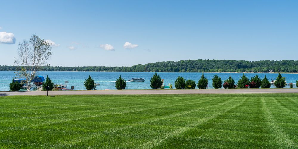 green healthy lawn near water
