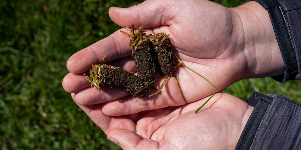 aeration plugs in hands