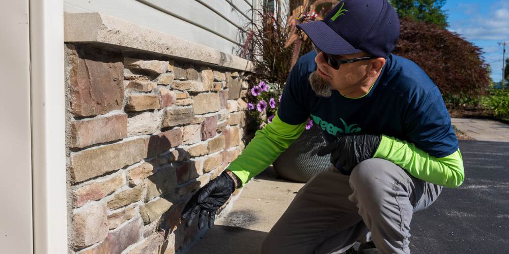 pest control expert inspects home