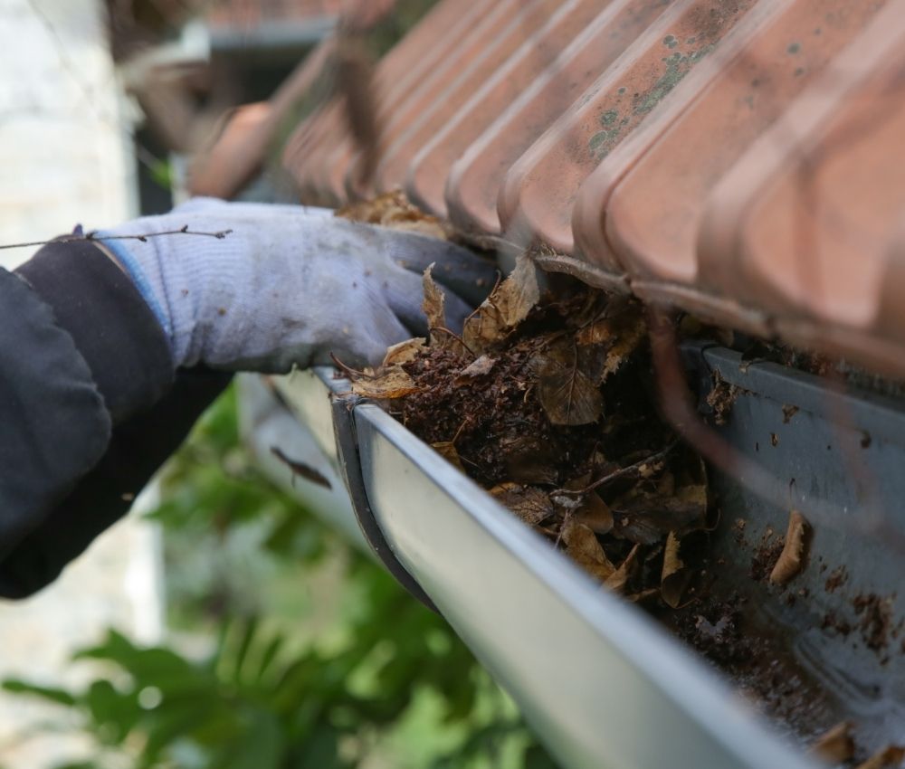clear-gutters-yard-drainage