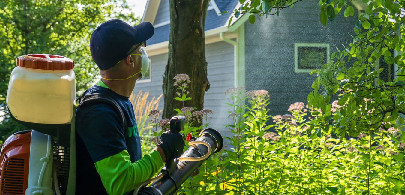 organic pest control in traverse city, michigan