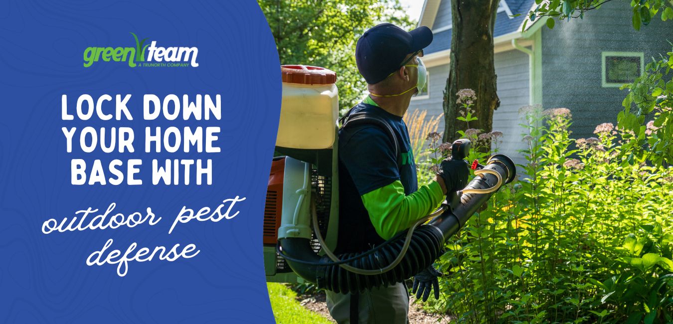 outdoor pest defense traverse city
