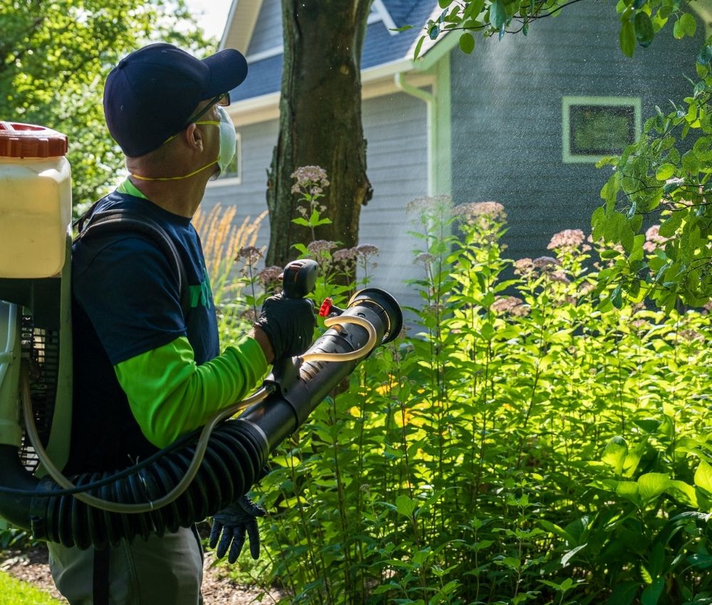 pet-friendly-mosquito-control-traverse-city