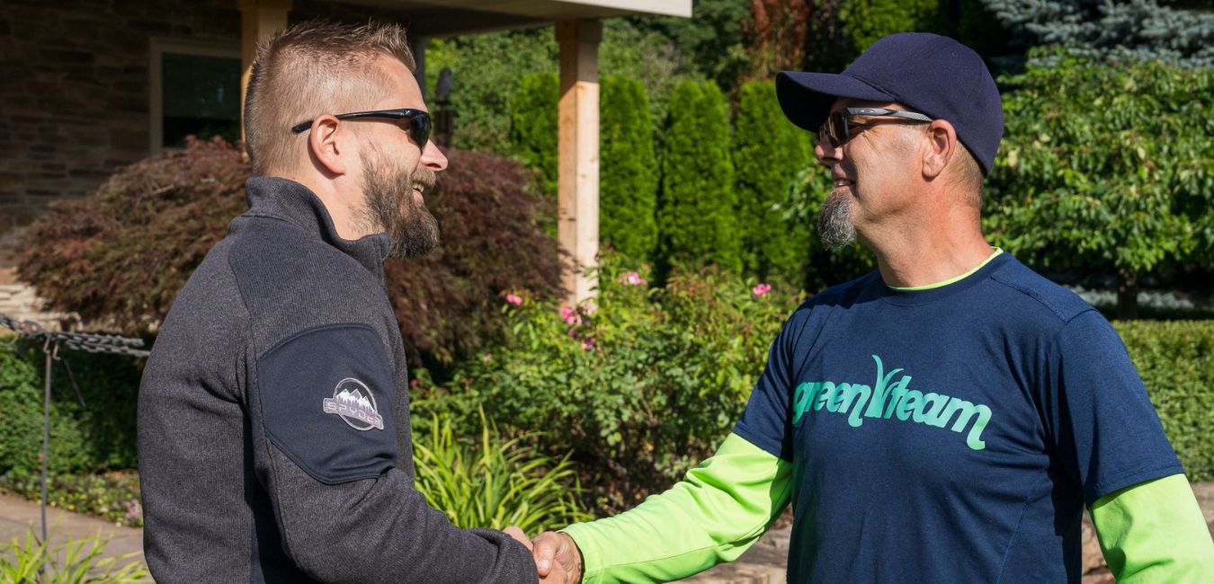 professional lawn technician green team
