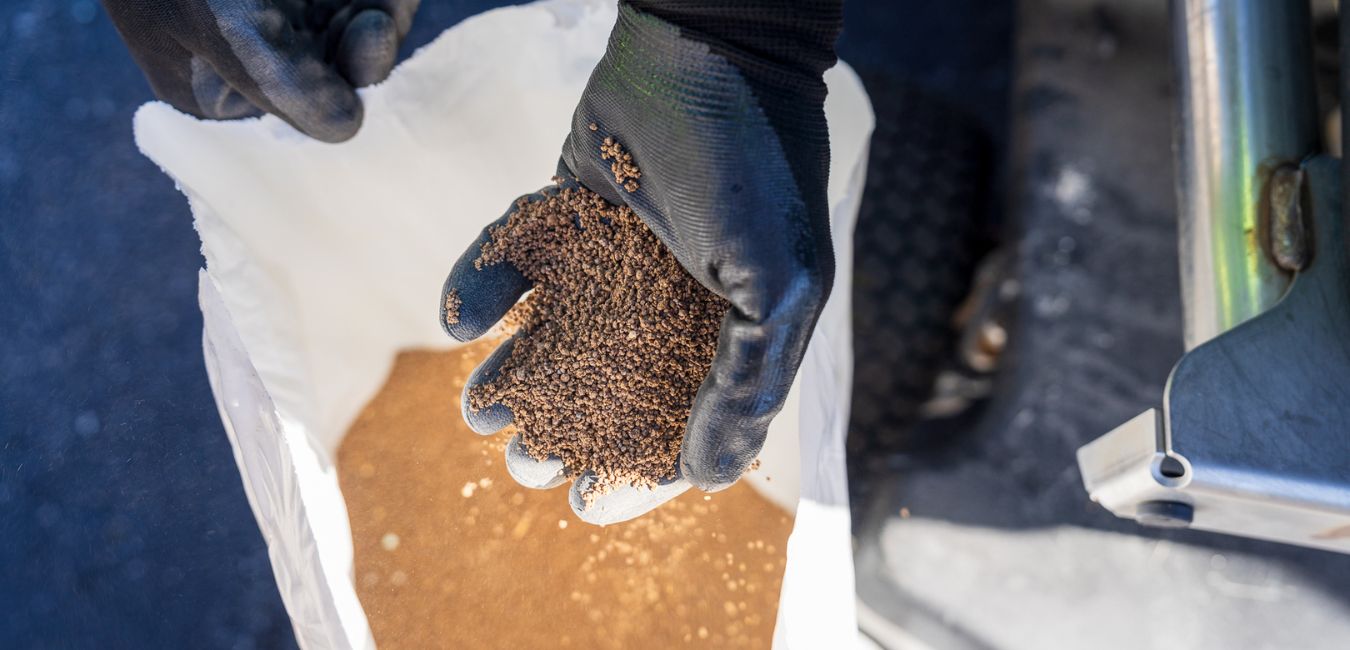 reduce lawn watering