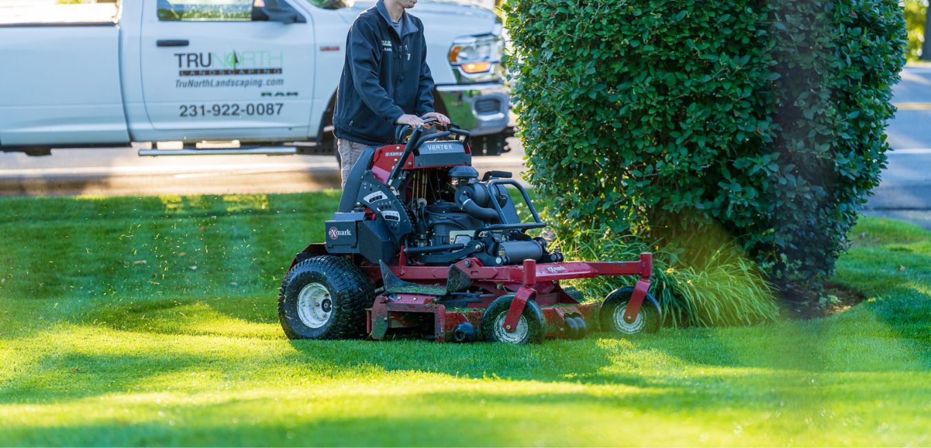 reduce lawn watering