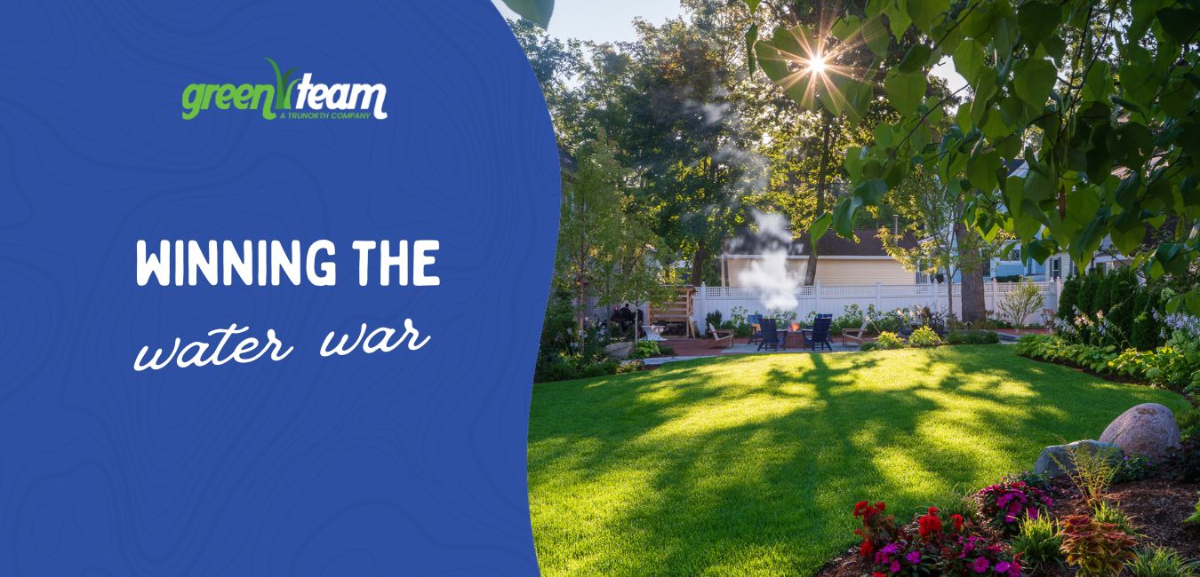 sandy soil lawn care northern michigan