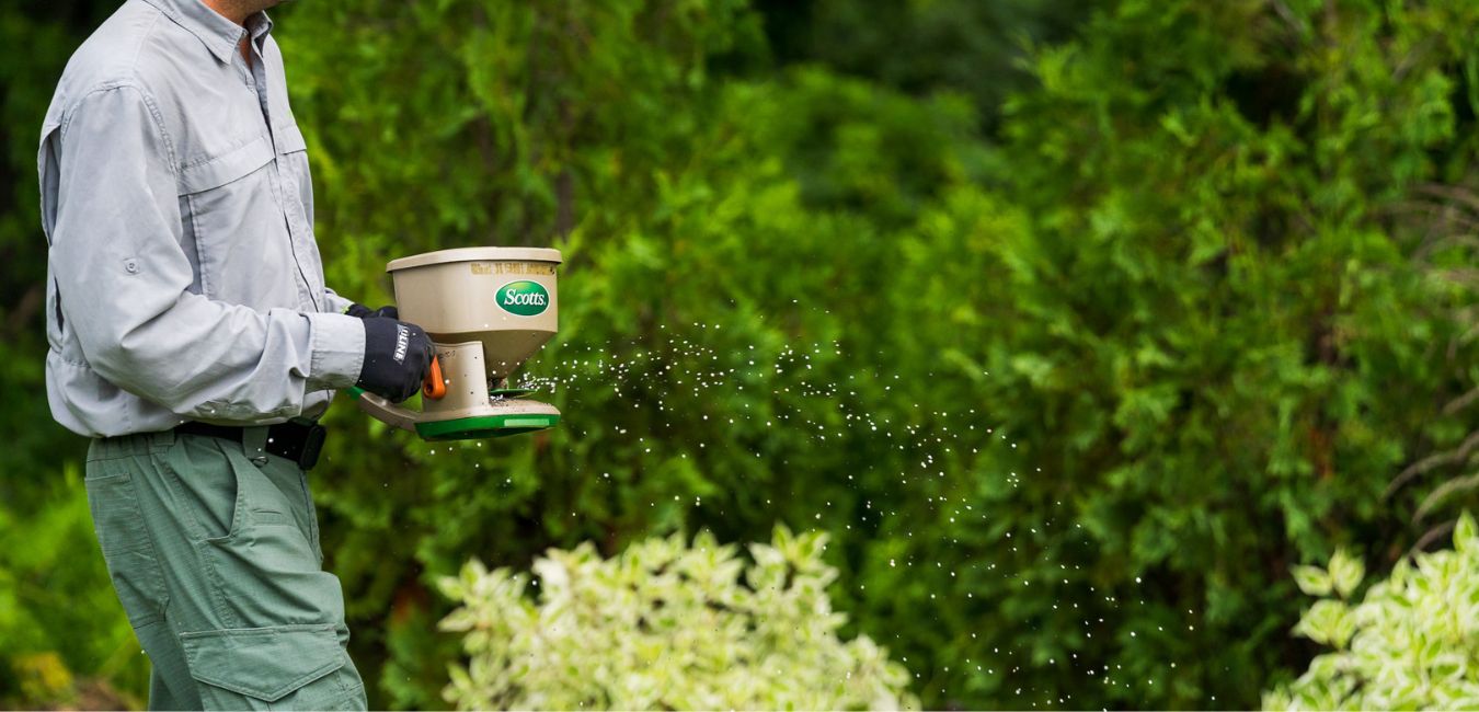 spring lawn care fertilization tips