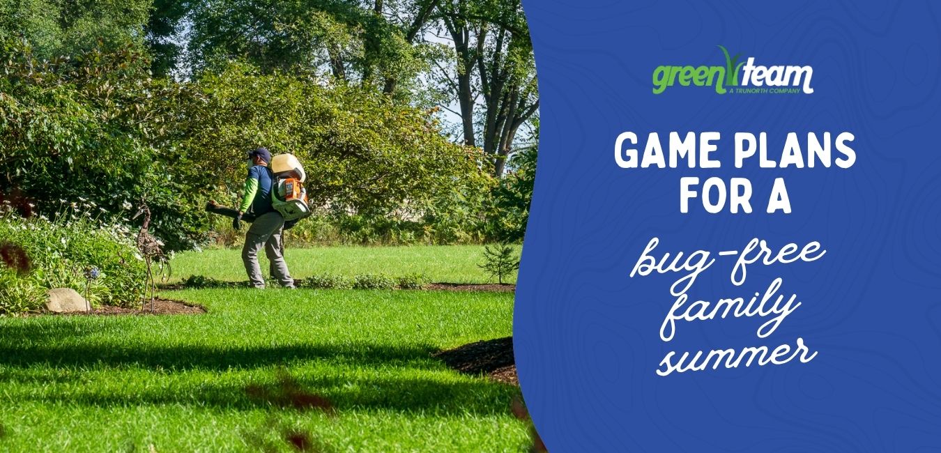 spring lawn care game plans for bug free family summer