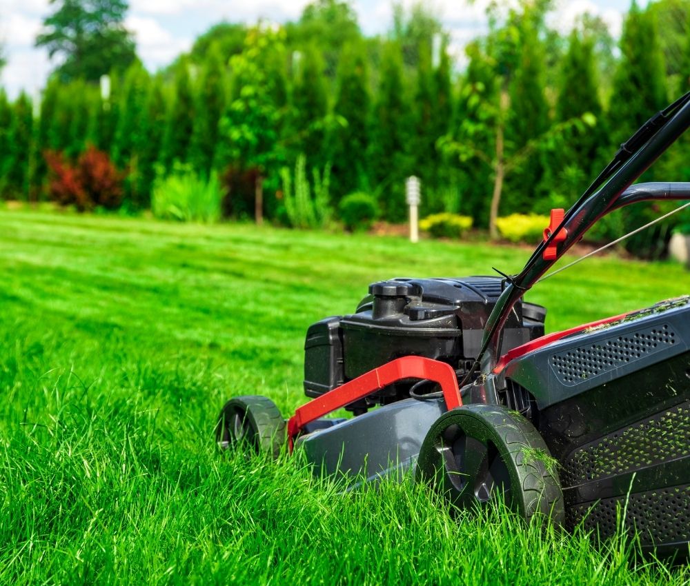 spring-lawn-care-mowing-traverse-city spring lawn care mowing traverse city