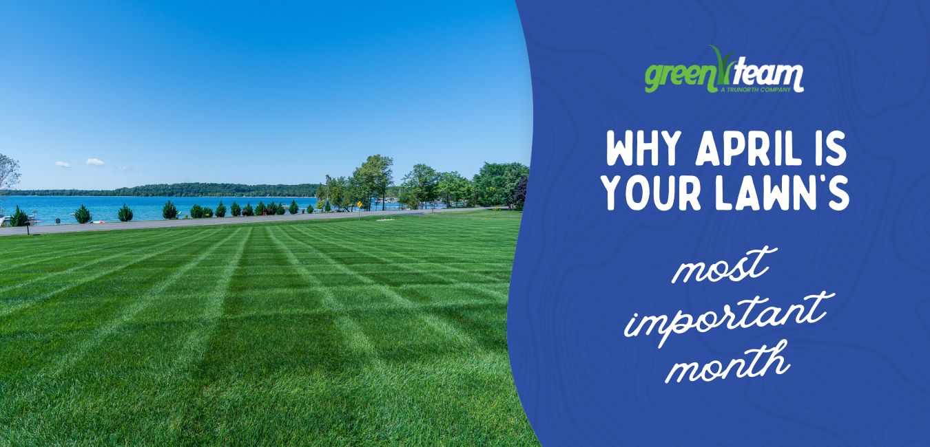 spring lawn care traverse city