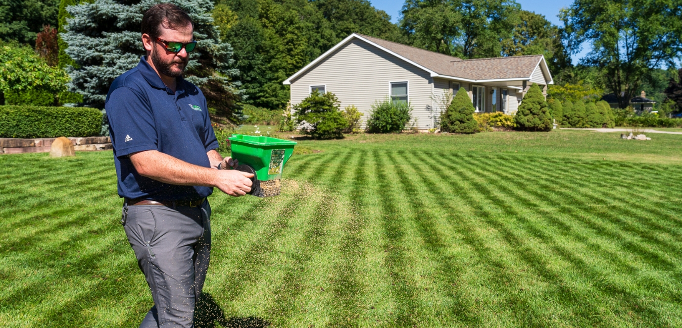 traverse-city-overseeding traverse city overseeding