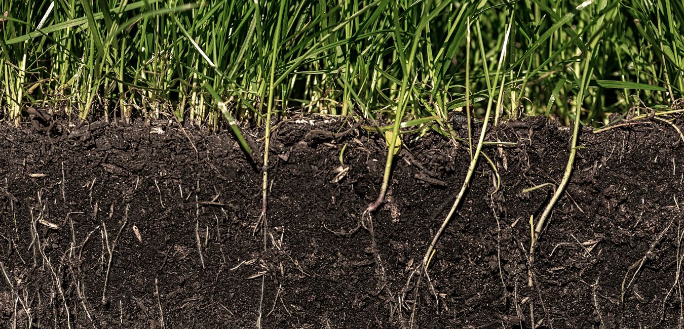 traverse city sandy soil drainage