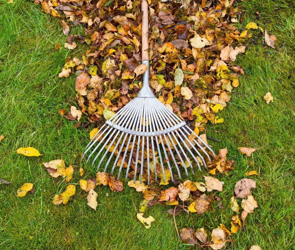 yard-cleanup-tick-prevention-michigan yard cleanup tick prevention michigan